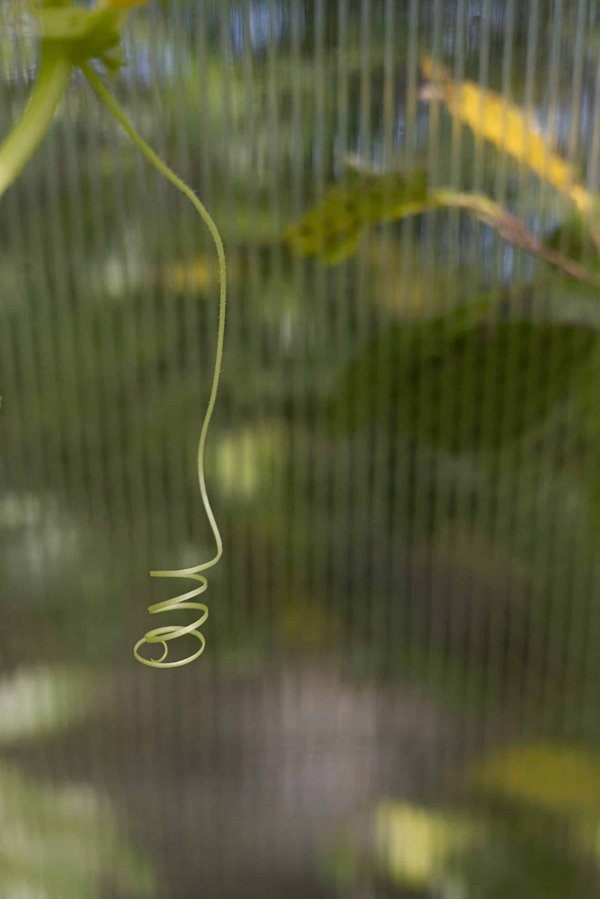 How Can UK Businesses Adapt to Rapid Technological Changes in Their Industry?